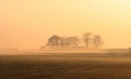060407 003a.jpg